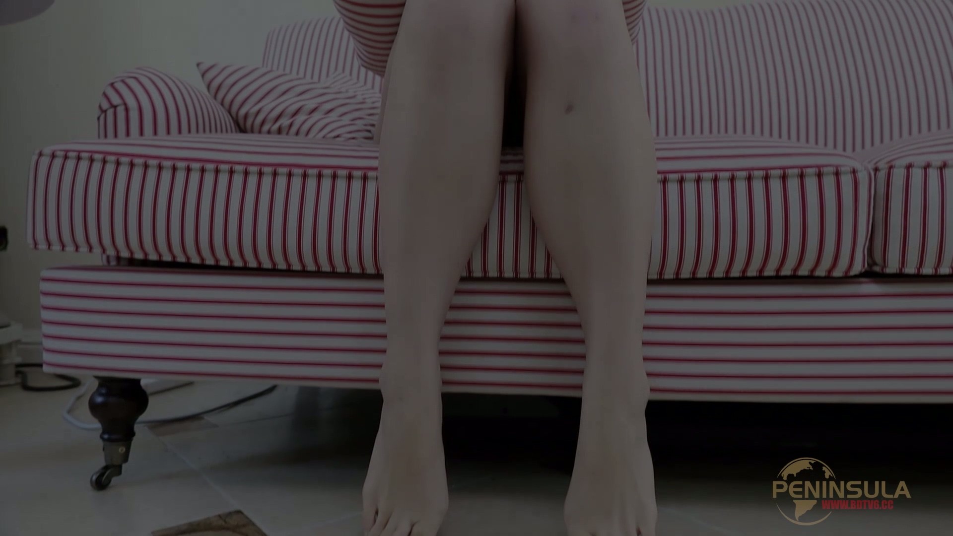 YT2877 学法减分