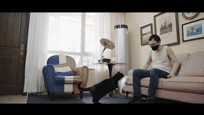 YT3092 猫的礼物