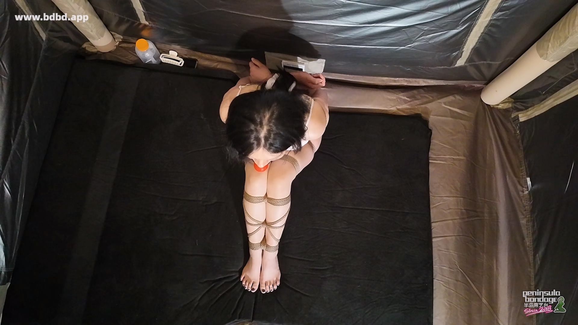 YT3211 孤帐.mp4_20260601_232057.772.jpg
