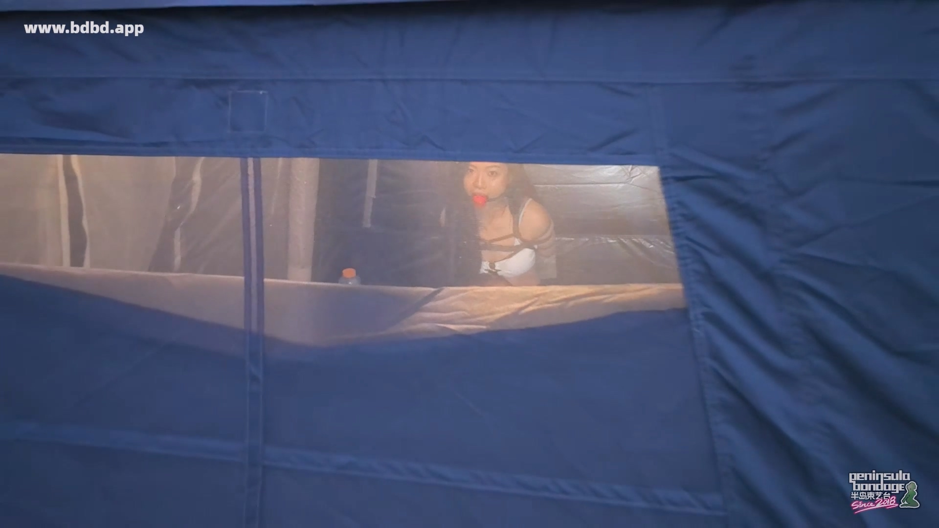 YT3211 孤帐.mp4_20260601_235302.626.jpg