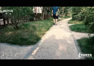 YT744 小蛇长裙车内驷马禁锢