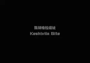 YT737 鹿野废弃小镇逃亡三部曲之武装护送