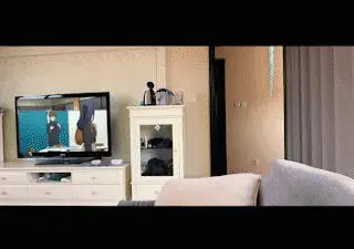 YT772 如果只有一个人能逃生，你该怎么办