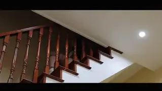YT1175 不要上二楼