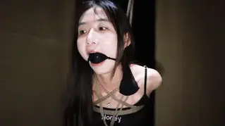 YT1171 井底之蛙