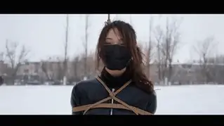 YT1364 雪仗的正确打法