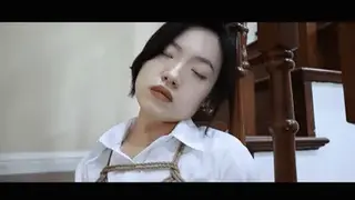 YT1353 阶梯放置