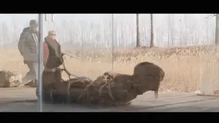 YT1421 2022春季户外2：布玛公园橱窗放置，游人保安纷纷侧目