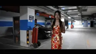 YT1401 我需要一个车模
