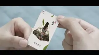 YT1483 80后经典：干脆面都吃出过什么卡