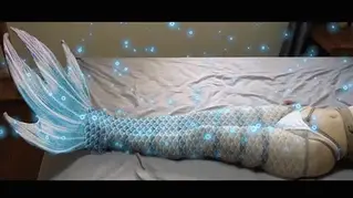 YT1697 你们都钓过什么鱼？
