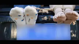 YT1714 夕阳湖畔，缚影婆娑