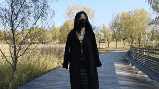 YT1765 秋天的芦苇