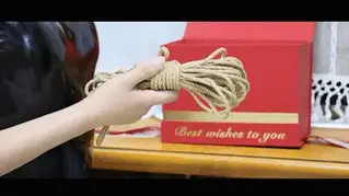 YT1949 好奇害死贼