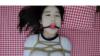YT2293 互相哄不好