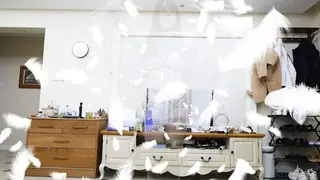 YT2358 放鸽子