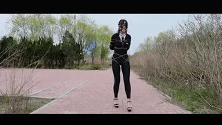 YT2378 枯藤老树波鸦