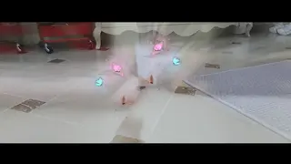 YT2499 蝴蝶夫人