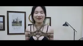 YT2813 终于研制出完美的小腹五角星